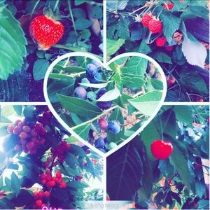 Meet your Posher, Mayra